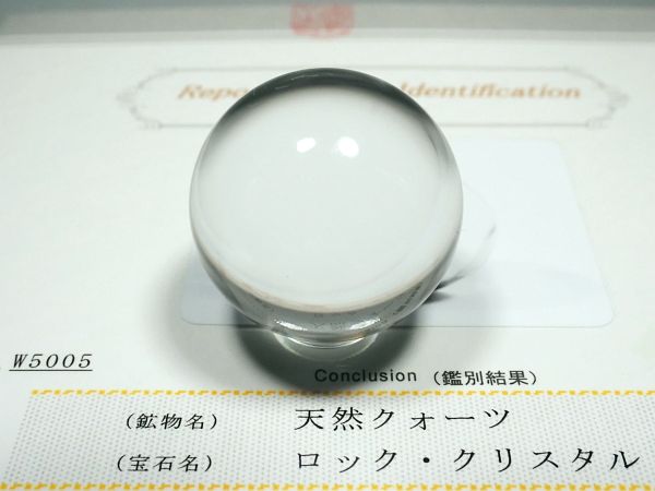 �G�A���[�X�p�C�������� �o�� �V�R������3A 34.1mm �ӕʏ��t(W5005)