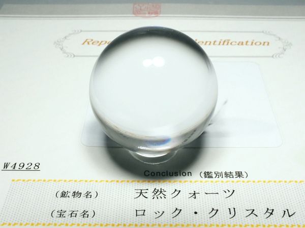 �G�A���[�X�p�C�������� �o�� �V�R������3A 34.6mm �ӕʏ��t(W4928)