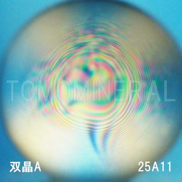 �G�A���[�X�p�C�������� �o�� �V�R������A+ 25mm (25A11)