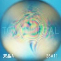 �G�A���[�X�p�C��������<br> �o�� �V�R������A+<br> 25mm (25A11)