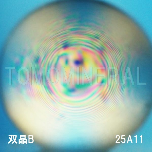 �G�A���[�X�p�C�������� �o�� �V�R������A+ 25mm (25A11)