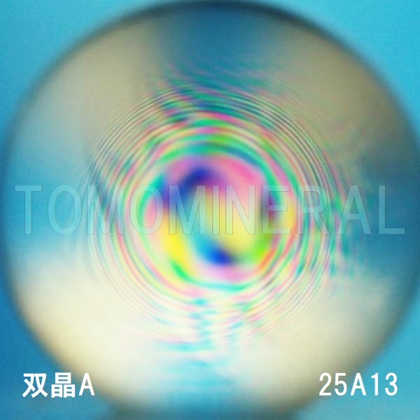 �G�A���[�X�p�C�������� �o�� �V�R������A+ 25mm (25A13)