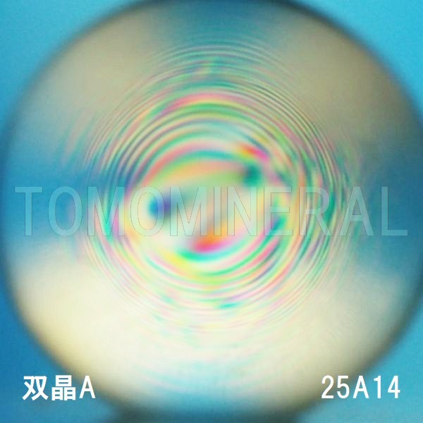 �G�A���[�X�p�C�������� �o�� �V�R������A+ 25mm (25A14)