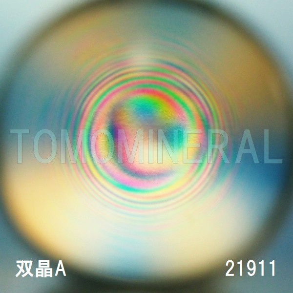 �G�A���[�X�p�C�������� �o�� �V�R������3A 23mm (23014)