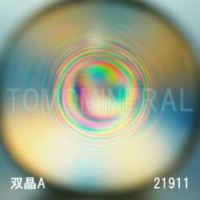 �G�A���[�X�p�C��������<br> �o�� �V�R������3A<br> 23mm (23014)