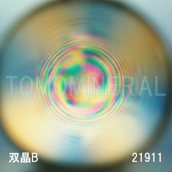 �G�A���[�X�p�C�������� �o�� �V�R������3A 23mm (23014)