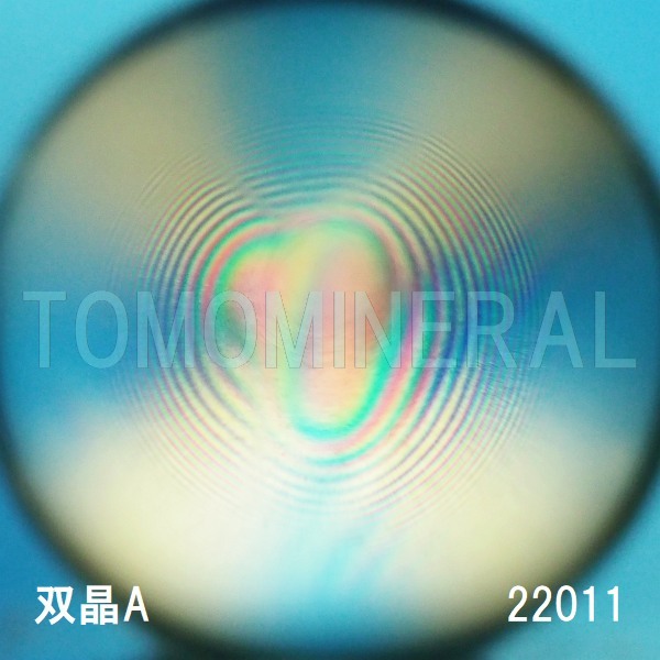 �G�A���[�X�p�C�������� �o�� �V�R������3A 22mm (22011)