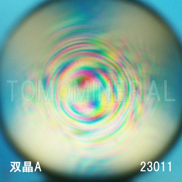 �G�A���[�X�p�C�������� �o�� �V�R������3A 23mm (23011)