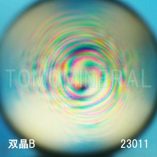 �G�A���[�X�p�C�������� �o�� �V�R������3A 23mm (23011)