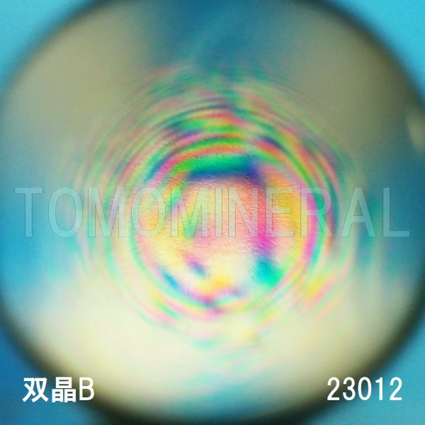 �G�A���[�X�p�C�������� �o�� �V�R������3A 23mm (23012)