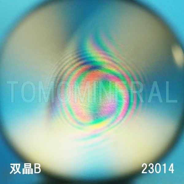 �G�A���[�X�p�C�������� �o�� �V�R������3A 23mm (23014)