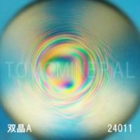 �G�A���[�X�p�C��������<br> �o�� �V�R������3A<br> 24mm (24011)