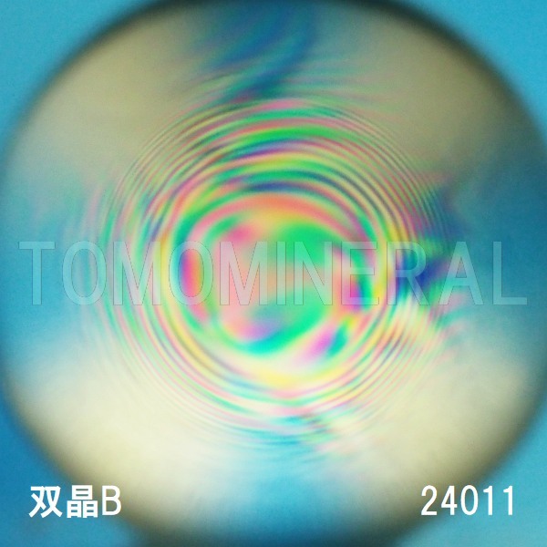 �G�A���[�X�p�C�������� �o�� �V�R������3A 24mm (24011)