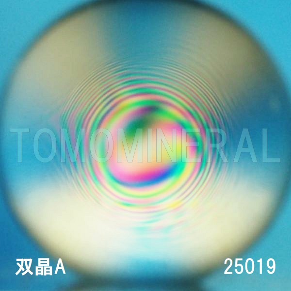 �G�A���[�X�p�C�������� �o�� �V�R������3A 25mm (25019)