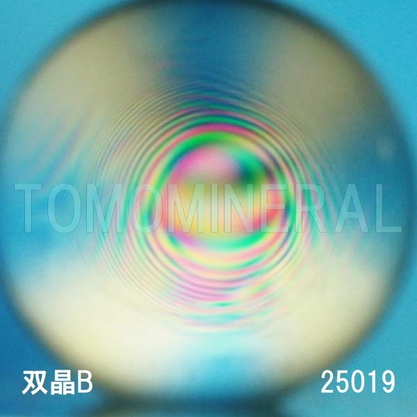 �G�A���[�X�p�C�������� �o�� �V�R������3A 25mm (25019)