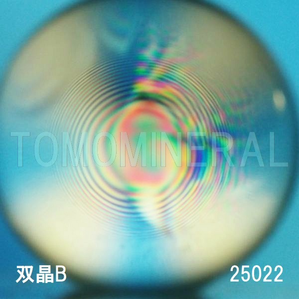 �G�A���[�X�p�C�������� �o�� �V�R������3A 25mm (25022)