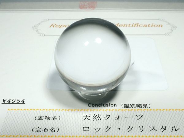 �G�A���[�X�p�C�������� �o�� �V�R������3A 34.1mm �ӕʏ��t(W4954)