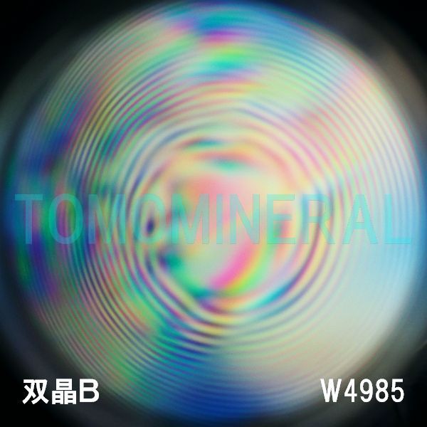 �G�A���[�X�p�C�������� �o�� �V�R������3A 34.2mm �ӕʏ��t(W4985)