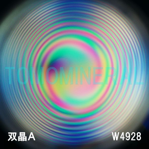 �G�A���[�X�p�C�������� �o�� �V�R������3A 34.6mm �ӕʏ��t(W4928)