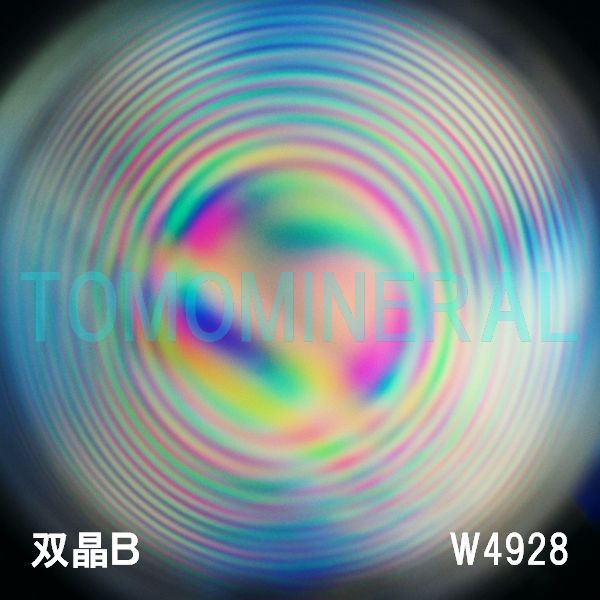 �G�A���[�X�p�C�������� �o�� �V�R������3A 34.6mm �ӕʏ��t(W4928)