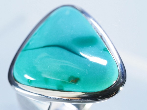 �^�[�R�C�Y�E�g���R�΃����O�w��12�� 8.3g(2)