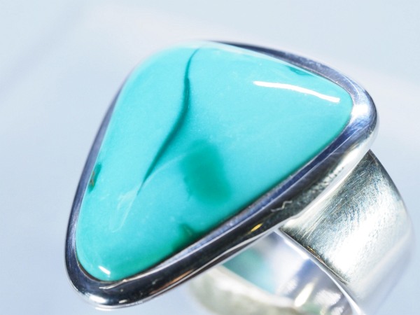�^�[�R�C�Y�E�g���R�΃����O�w��12�� 8.3g(2)
