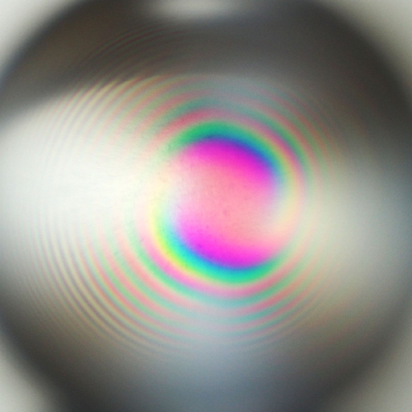 �X�p�C�����N�H�[�c(��������) ������ 3A�r�[�Y���ʍ� 8mm 1������