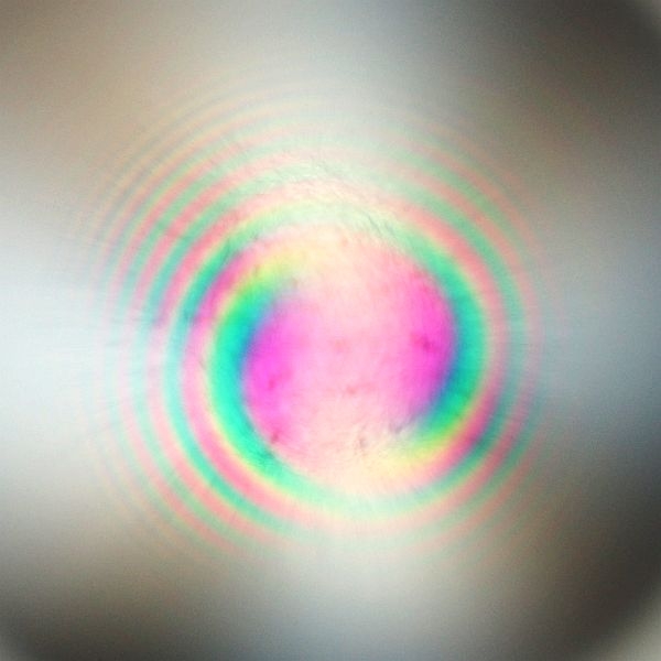 �X�p�C�����N�H�[�c(��������) ������ 3A�r�[�Y���ʍ� 10mm 1������