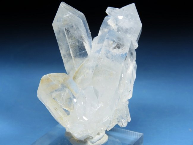 ΃NX^[ؗY(21)117g