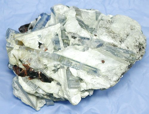  JCiCgiXCXj
