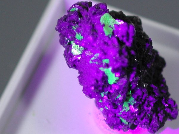 ӊDEzEIgD[iCgAutunite(1)
