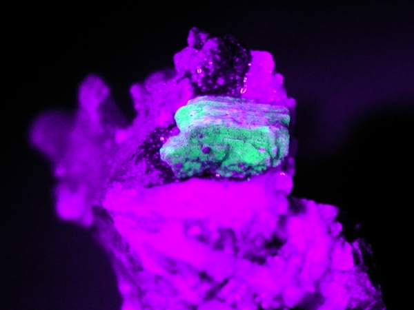ӊDEzEIgD[iCgAutunite(5)