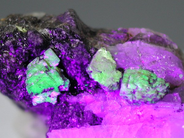 ӊDEzEIgD[iCgAutunite(8)