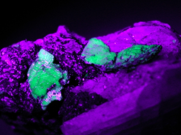 ӊDEzEIgD[iCgAutunite(8)