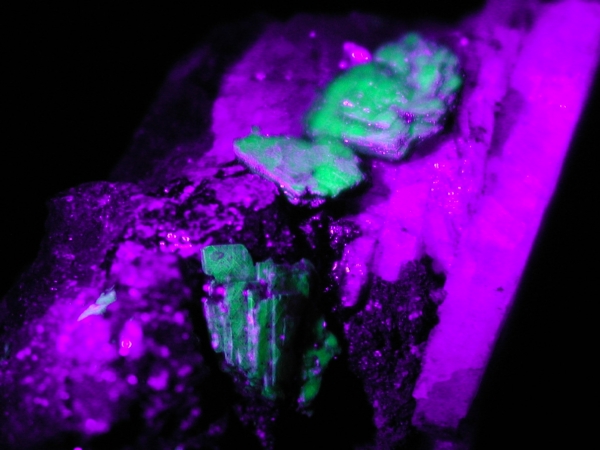 ӊDEzEIgD[iCgAutunite(8)