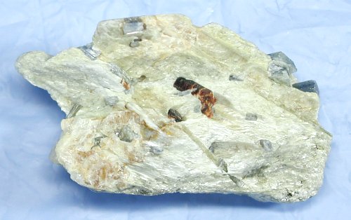 ������ �J�C���i�C�g�i�X�C�X�j