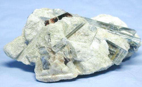 ������ �J�C���i�C�g�i�X�C�X�j