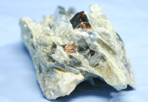 ������ �J�C���i�C�g�i�X�C�X�j