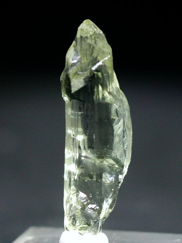 �w���I�h�[��