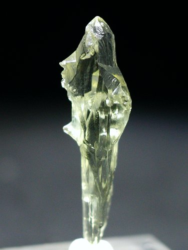 �w���I�h�[��