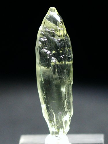 �w���I�h�[��