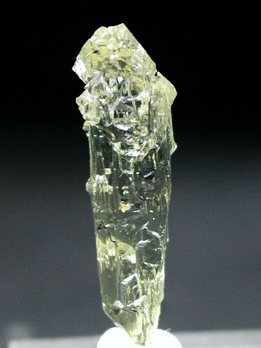 �w���I�h�[��(179)