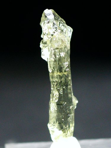 �w���I�h�[��(179)