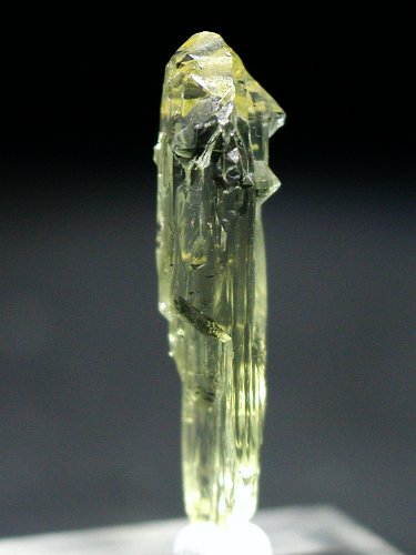 �w���I�h�[��(180)