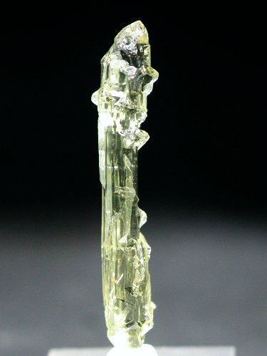 �w���I�h�[������ �S�[���f���x�� 11.65ct (181)