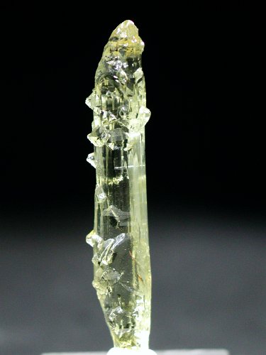 �w���I�h�[������ �S�[���f���x�� 11.65ct (181)