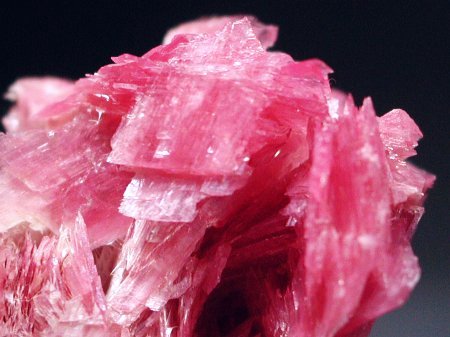 ���[�h�i�C�g���� �΂�P�� (183)