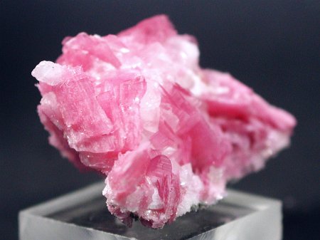 ���[�h�i�C�g���� �΂�P�� (185)