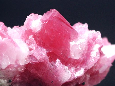 ���[�h�i�C�g���� �΂�P�� (185)