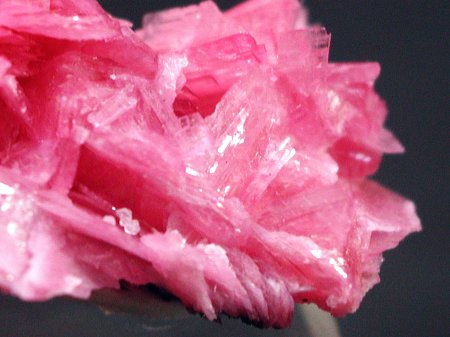 ���[�h�i�C�g���� �΂�P�� (186)